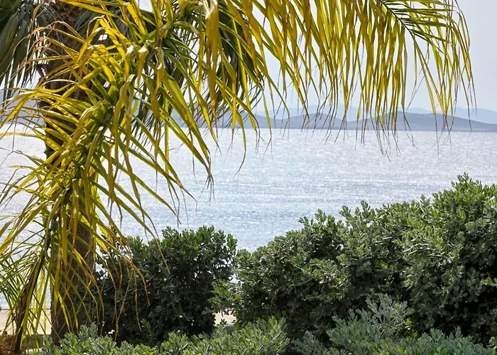 アナックス アンド スパ 5*