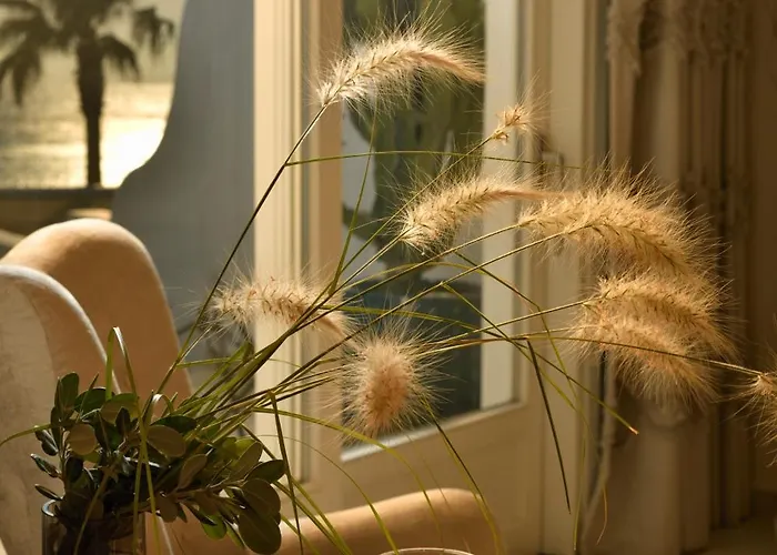 酒店 瓦纳卡spa度假酒店 5*