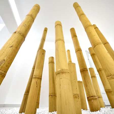 Anax And Spa Agios Ioannis Diakoftis